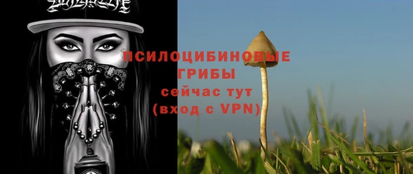 прущие крисы Алексеевка