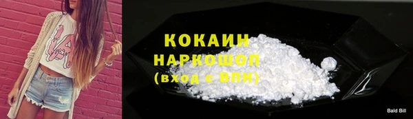 хмурый Алзамай
