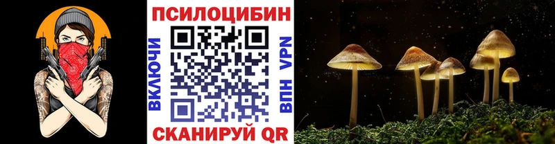 Галлюциногенные грибы MAGIC MUSHROOMS Биробиджан